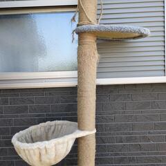 キャットタワーの画像