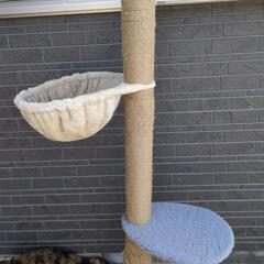 キャットタワーの画像