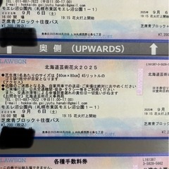 2025年9月6日モエレ沼花火大会チケット＋シャトルバス往復券　二人分　　　芝青席有料　即日お渡し可能の画像