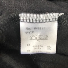 襟や袖の可愛いTシャツ4Lの画像