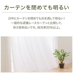 ニトリ　レースカーテンの画像