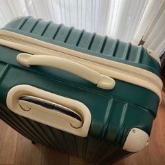 キャリーバッグの画像