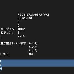 MacBook Air（M1,2020）256GB/8GB〈MGN63J/A〉④の画像