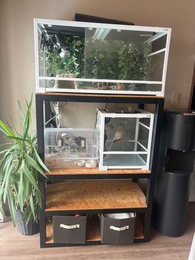 爬虫類、モモンガ等　飼育セット一式