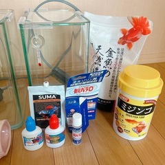 【決まりました】
ベタ　水槽セットの画像
