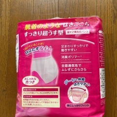 介護パンツ　ポイズ　肌着ごこちパンツ　女性用　Lサイズ　2回分の画像