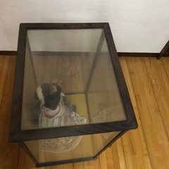 日本人形の画像