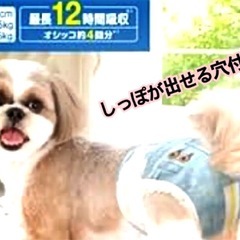 ワンちゃんマナーウェア 紙オムツの画像