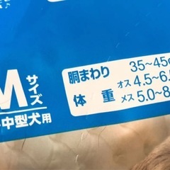 ワンちゃんマナーウェア 紙オムツの画像