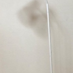足長のライトの画像