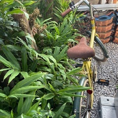 折りたたみ自転車　２０インチの画像