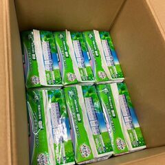 【未使用・未開封品】ライフリー さわやかパッド 30枚入り×6個セットの画像