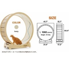 STAR CATWHEEL キャットホイール Lサイズの画像
