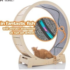 STAR CATWHEEL キャットホイール Lサイズの画像