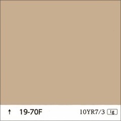 ファインSi 19-70F 日本ペイントの画像