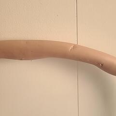フーラフープの画像