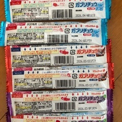 ガブリチュウ賞味期限2026年3月の画像