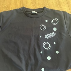 セントラルスポーツのTシャツの画像