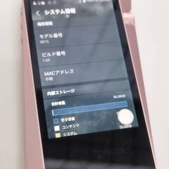 【美品】A&norma SR15 Astell&Kern PPS11/64GB/ポータブルオーディオプレーヤーの画像