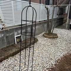オベリスクの画像