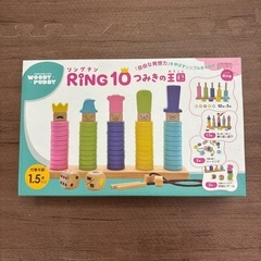 WOODYPUDDY RING10 リングテンの画像