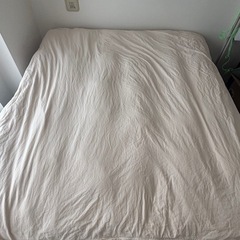 【先約済】NITORI  HOTEL STYLE 掛け布団 の画像