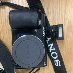 ソニー SONY デジタル一眼カメラ NEX-F3の画像
