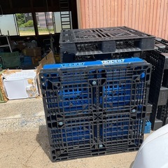 パレット 相談中
の画像