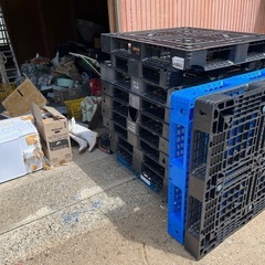 パレット 相談中
の画像