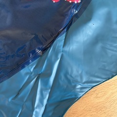 ビニールプールの画像
