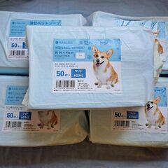 未使用 薄型 ワイド ペットシーツ 250枚 (50×5)の画像