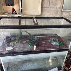 受け取り予定者決まりました水槽の画像