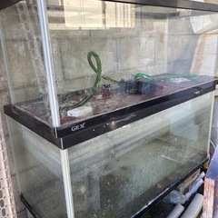 受け取り予定者決まりました水槽の画像
