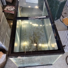 受け取り予定者決まりました水槽の画像