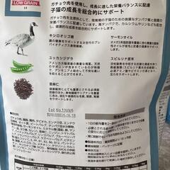 10Kg半額以下★高品質☆子猫用フード★Monge B-Wild グロ―アップ ガチョウの画像