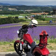 一緒にツーリングしませんか？