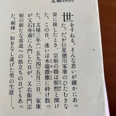 柳生宗矩　山岡荘八著の画像