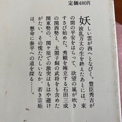 柳生宗矩　山岡荘八著の画像