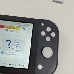 Nintendo Switch Lite/HDH-001/2019年製/グレー/HDH-S-GAZAAの画像