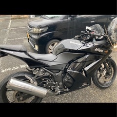カワサキニンジャ250Rの画像