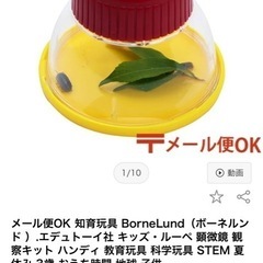 ボーネルンド　観察キッド
の画像