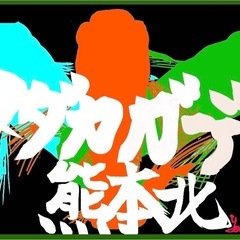 ミックスメダカの卵100個以上、熊本から発送の画像