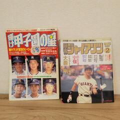 値下げ可 週刊ベースボール 平成8年 野茂英雄 増刊 帝京 甲子園 平成元年 天理高校 月刊 ジャイアンツ 巨人 輝け 甲子園の星 元木大介 吉岡雄二 の画像