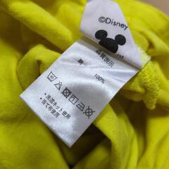 半袖Tシャツの画像