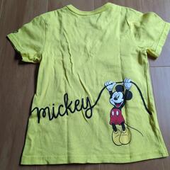 半袖Tシャツの画像