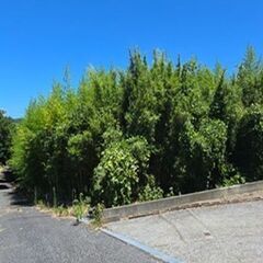 ★★　別荘・定住・釣り基地に　★★