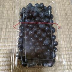 決まりました。ブルーベリー(久万高原産無農薬)の画像
