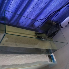 GEX　水槽　熱帯魚の画像