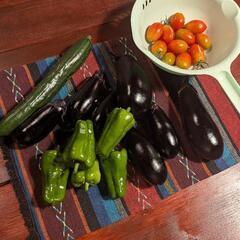 ナスとピーマンの画像