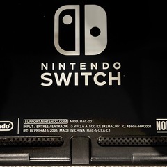 Nintendo Switch グレーの画像